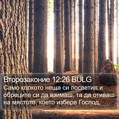 Второзаконие 12:26 BULG Bible Verse Image