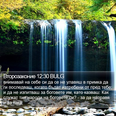 Второзаконие 12:30 BULG Bible Verse Image