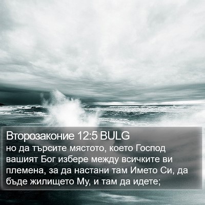 Второзаконие 12:5 BULG Bible Verse Image