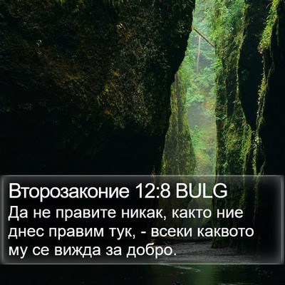 Второзаконие 12:8 BULG Bible Verse Image