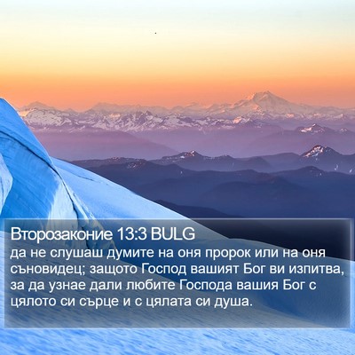 Второзаконие 13:3 BULG Bible Verse Image