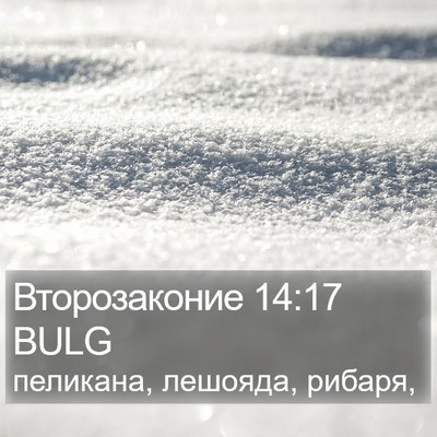Второзаконие 14:17 BULG Bible Verse Image