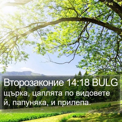 Второзаконие 14:18 BULG Bible Verse Image