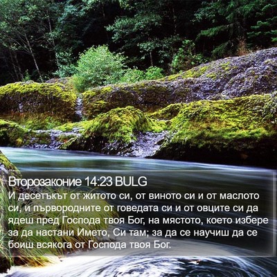 Второзаконие 14:23 BULG Bible Verse Image