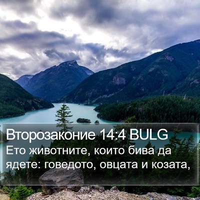 Второзаконие 14:4 BULG Bible Verse Image