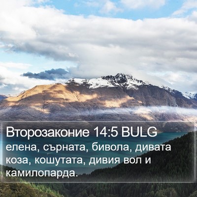 Второзаконие 14:5 BULG Bible Verse Image