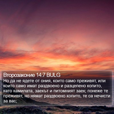 Второзаконие 14:7 BULG Bible Verse Image
