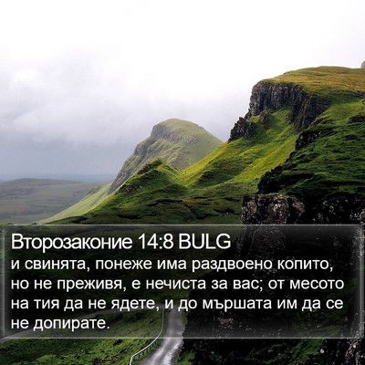 Второзаконие 14:8 BULG Bible Verse Image