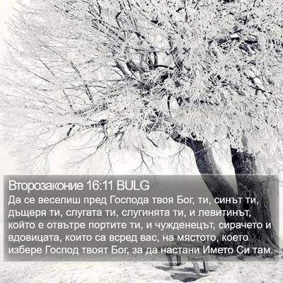 Второзаконие 16:11 BULG Bible Verse Image