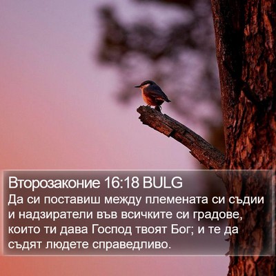 Второзаконие 16:18 BULG Bible Verse Image