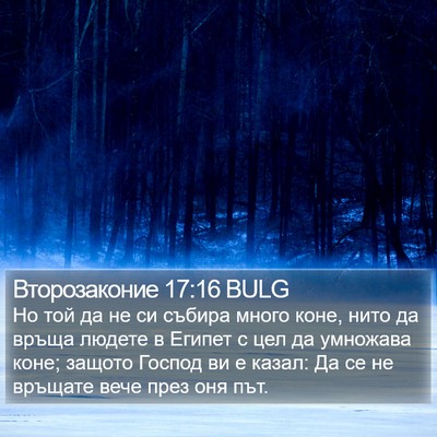 Второзаконие 17:16 BULG Bible Verse Image