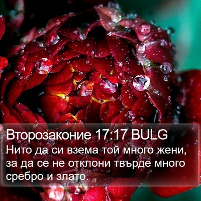 Второзаконие 17:17 BULG Bible Verse Image