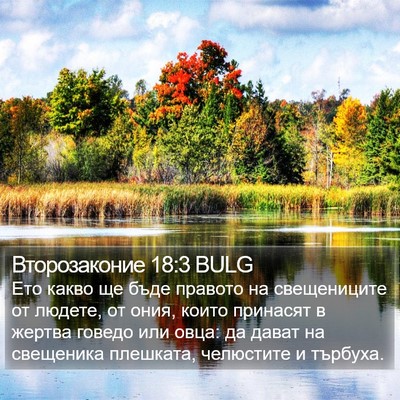 Второзаконие 18:3 BULG Bible Verse Image