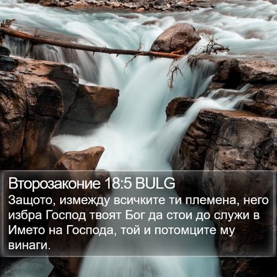 Второзаконие 18:5 BULG Bible Verse Image