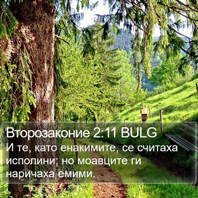 Второзаконие 2:11 BULG Bible Verse Image
