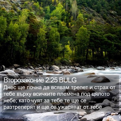 Второзаконие 2:25 BULG Bible Verse Image