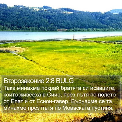 Второзаконие 2:8 BULG Bible Verse Image