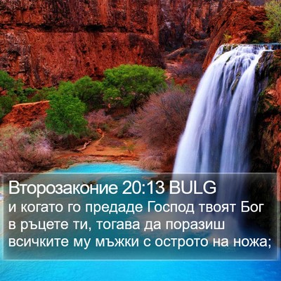 Второзаконие 20:13 BULG Bible Verse Image