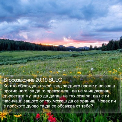 Второзаконие 20:19 BULG Bible Verse Image