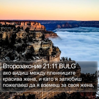 Второзаконие 21:11 BULG Bible Verse Image