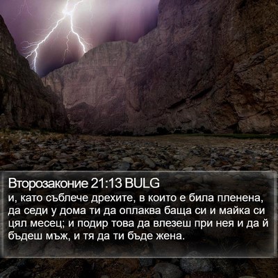 Второзаконие 21:13 BULG Bible Verse Image