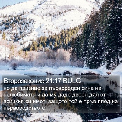 Второзаконие 21:17 BULG Bible Verse Image
