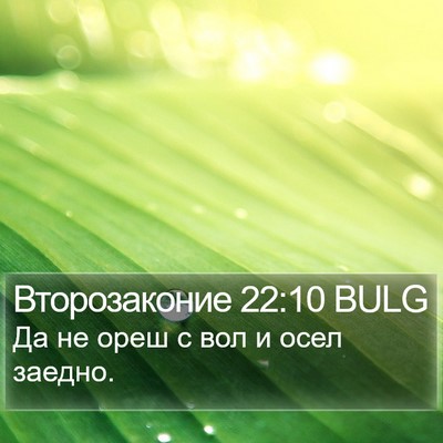 Второзаконие 22:10 BULG Bible Verse Image