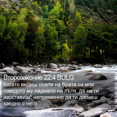 Второзаконие 22:4 BULG Bible Verse Image