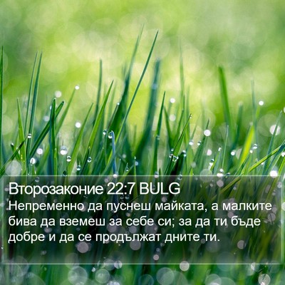 Второзаконие 22:7 BULG Bible Verse Image