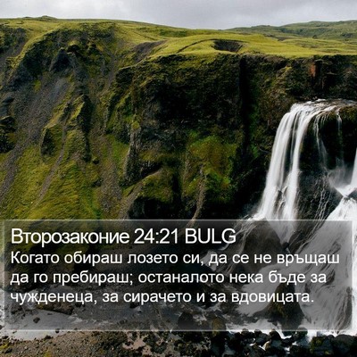 Второзаконие 24:21 BULG Bible Verse Image