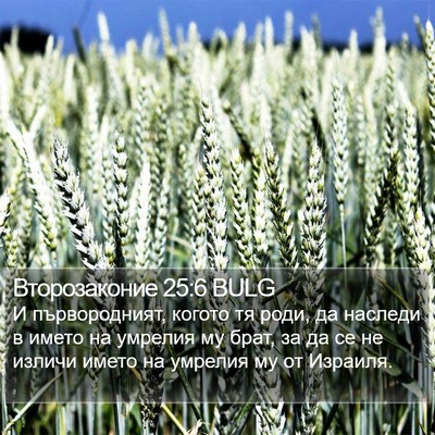 Второзаконие 25:6 BULG Bible Verse Image