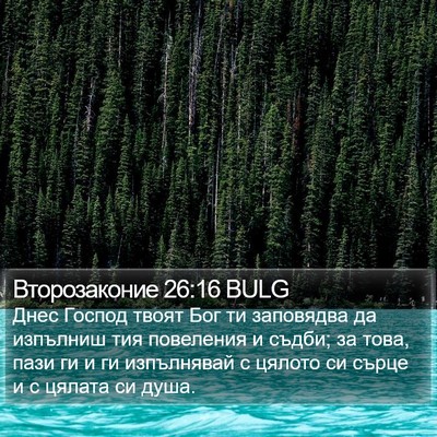 Второзаконие 26:16 BULG Bible Verse Image