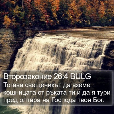 Второзаконие 26:4 BULG Bible Verse Image