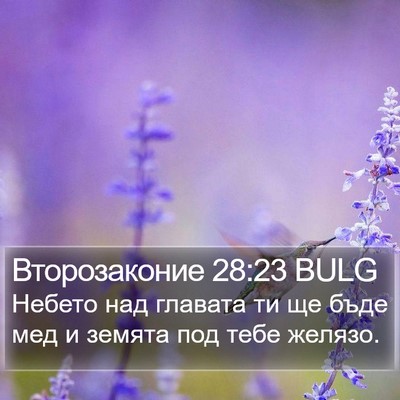 Второзаконие 28:23 BULG Bible Verse Image