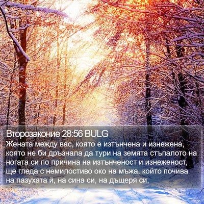 Второзаконие 28:56 BULG Bible Verse Image