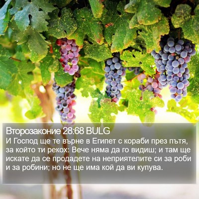 Второзаконие 28:68 BULG Bible Verse Image