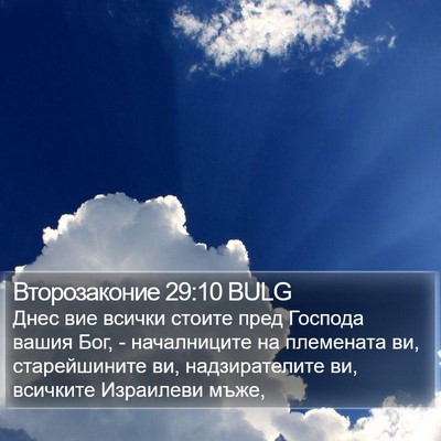Второзаконие 29:10 BULG Bible Verse Image