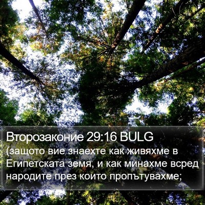 Второзаконие 29:16 BULG Bible Verse Image