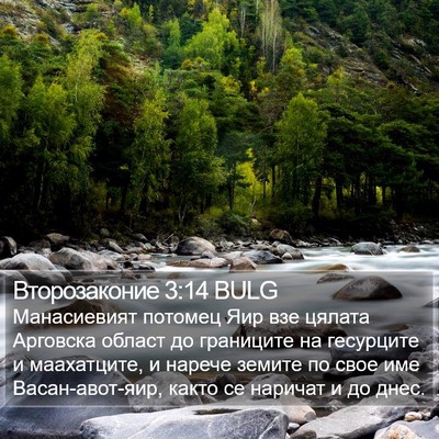 Второзаконие 3:14 BULG Bible Verse Image