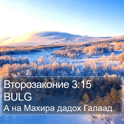 Второзаконие 3:15 BULG Bible Verse Image