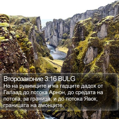 Второзаконие 3:16 BULG Bible Verse Image