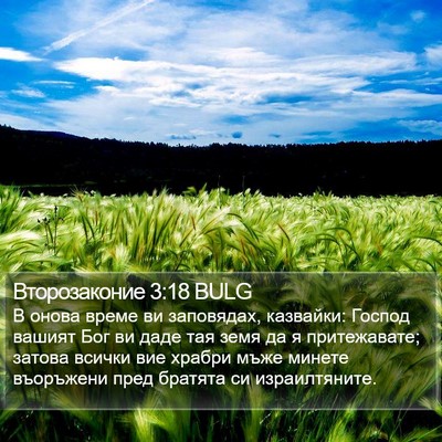 Второзаконие 3:18 BULG Bible Verse Image