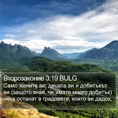 Второзаконие 3:19 BULG Bible Verse Image