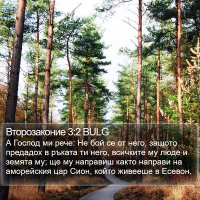 Второзаконие 3:2 BULG Bible Verse Image