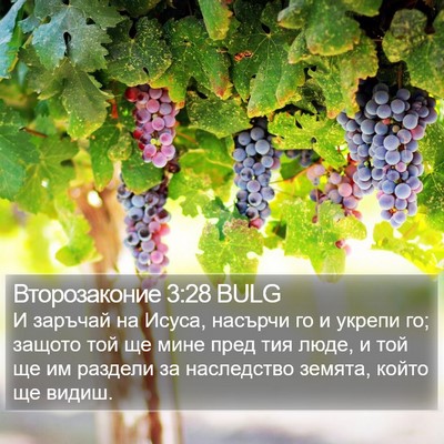 Второзаконие 3:28 BULG Bible Verse Image