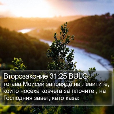 Второзаконие 31:25 BULG Bible Verse Image