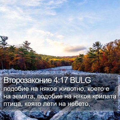 Второзаконие 4:17 BULG Bible Verse Image