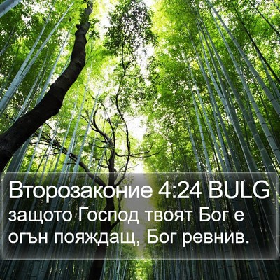 Второзаконие 4:24 BULG Bible Verse Image