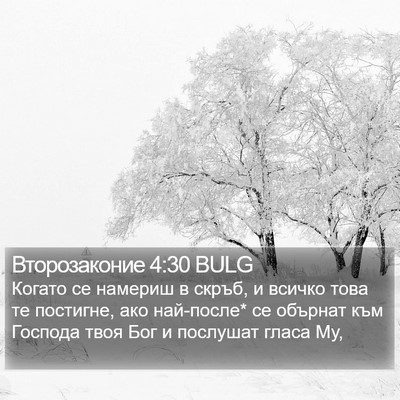 Второзаконие 4:30 BULG Bible Verse Image