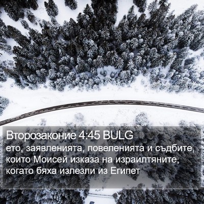 Второзаконие 4:45 BULG Bible Verse Image